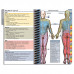 MDpocket® Southern Regional AHEC FM Resident 
